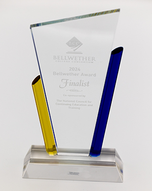 Bellwether Award web.jpg