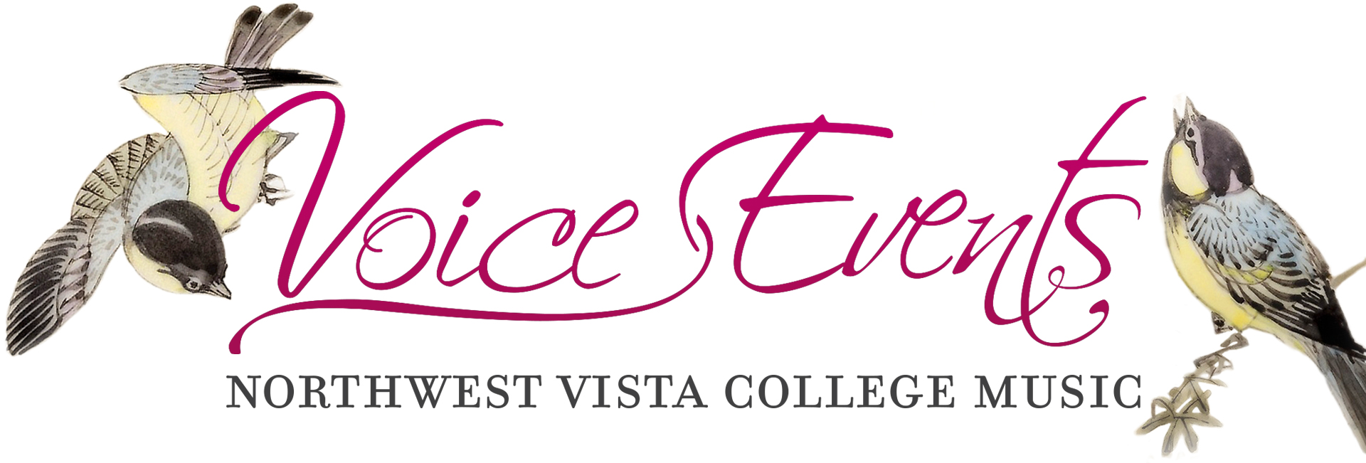 Voice events web header.jpg