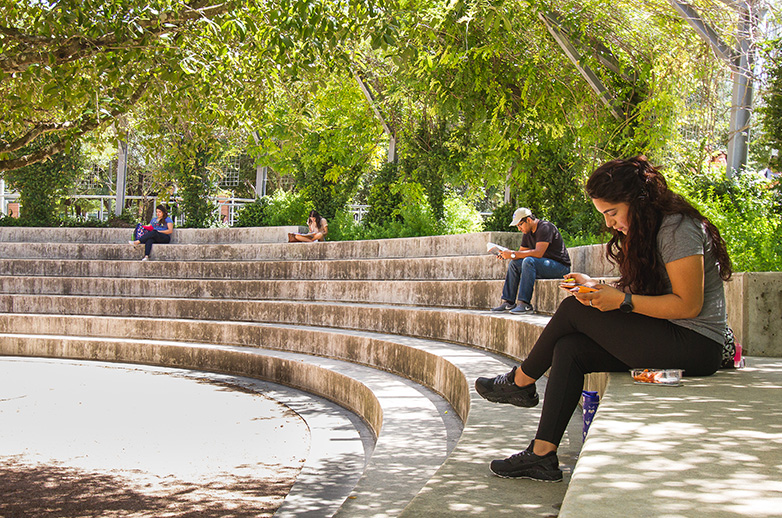 NVC History - Students Study Outdoors 2016