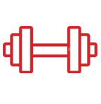 Alamo College Online at San Antonio College dumbbell icon