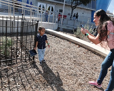 Atremis tree web 3.jpg