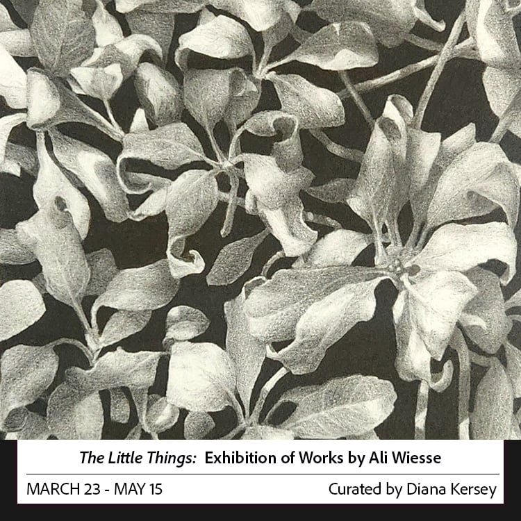 ART feature Wiesse S26.jpg