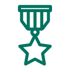 Military badge green icon