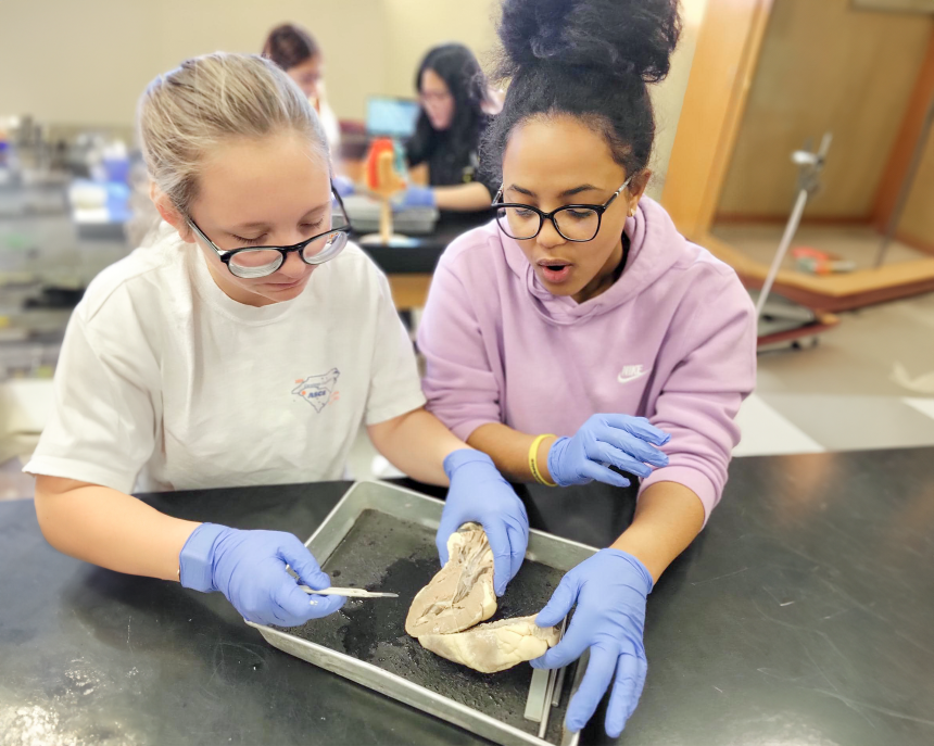 two female student in a lab with lab instruments
