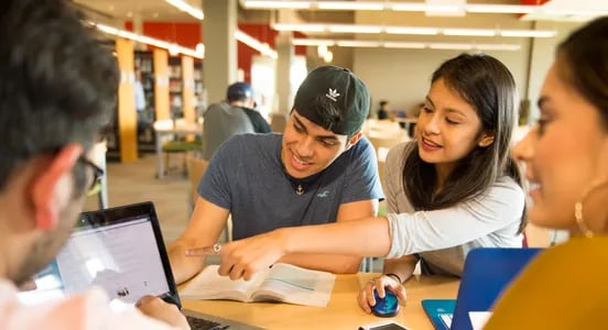 Students studying the in the library
