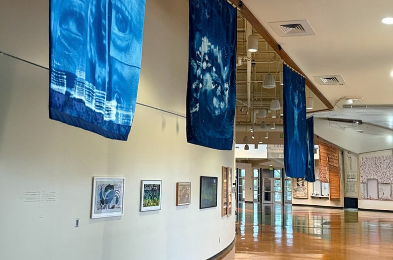 Aesthetics of Water in Latest Exhibit