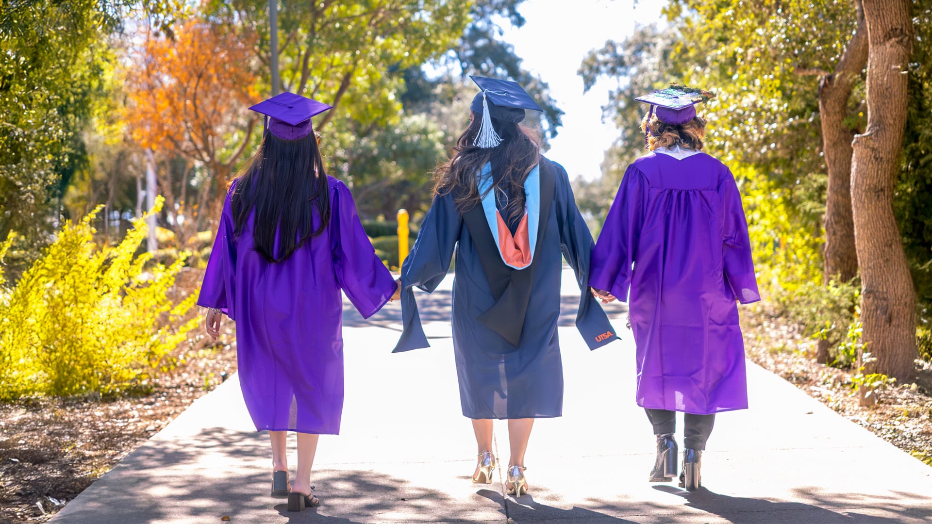 NVC Honors Academy