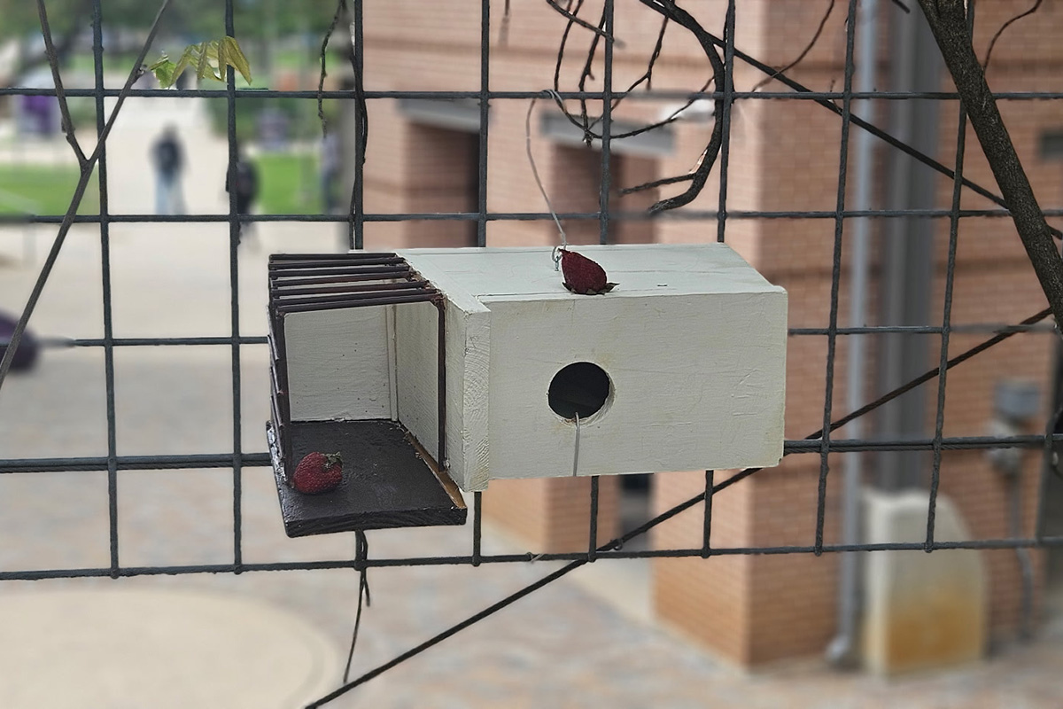 1200x800-Birdhouses-26A2.jpg