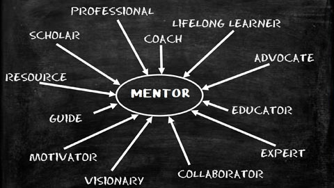 Mentor Diagram
