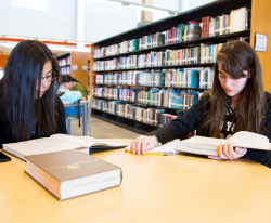 International Courses.png