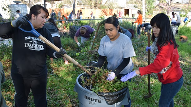 Community Garden