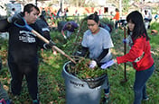 Students working in the Community Garden