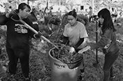 Students working in the Community Garden