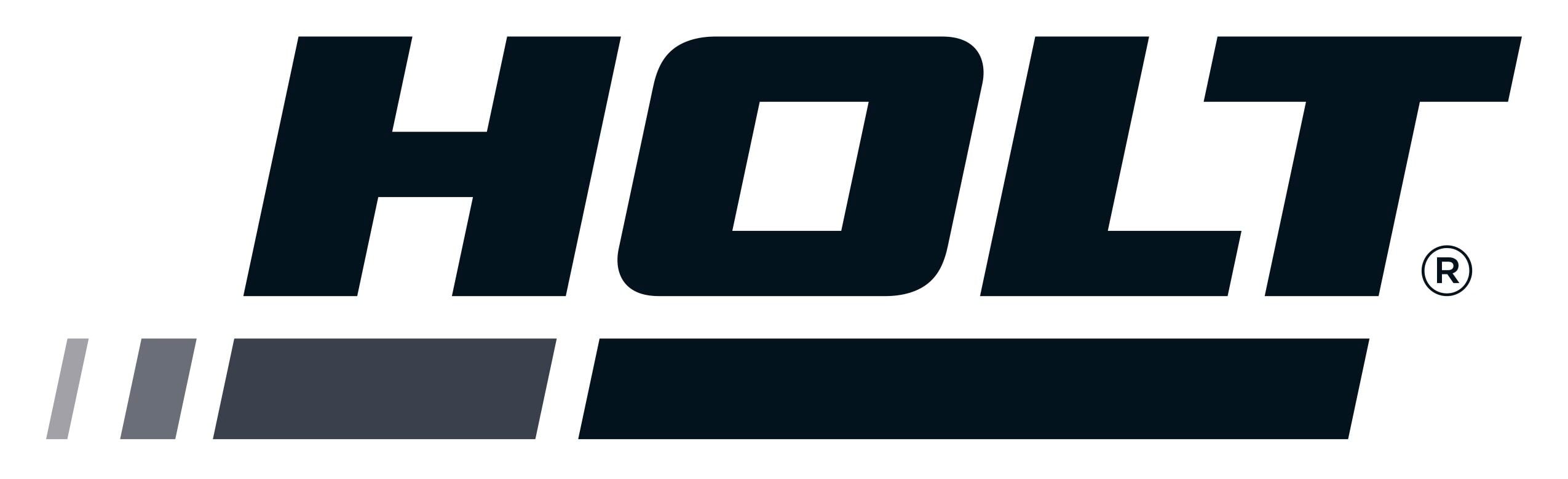 HOLT-Group-Informal-Logo-Primary-CMYK-copy-aspect-ratio-274-72-1.jpg