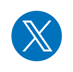 X Icon