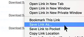 Select Save Link As...