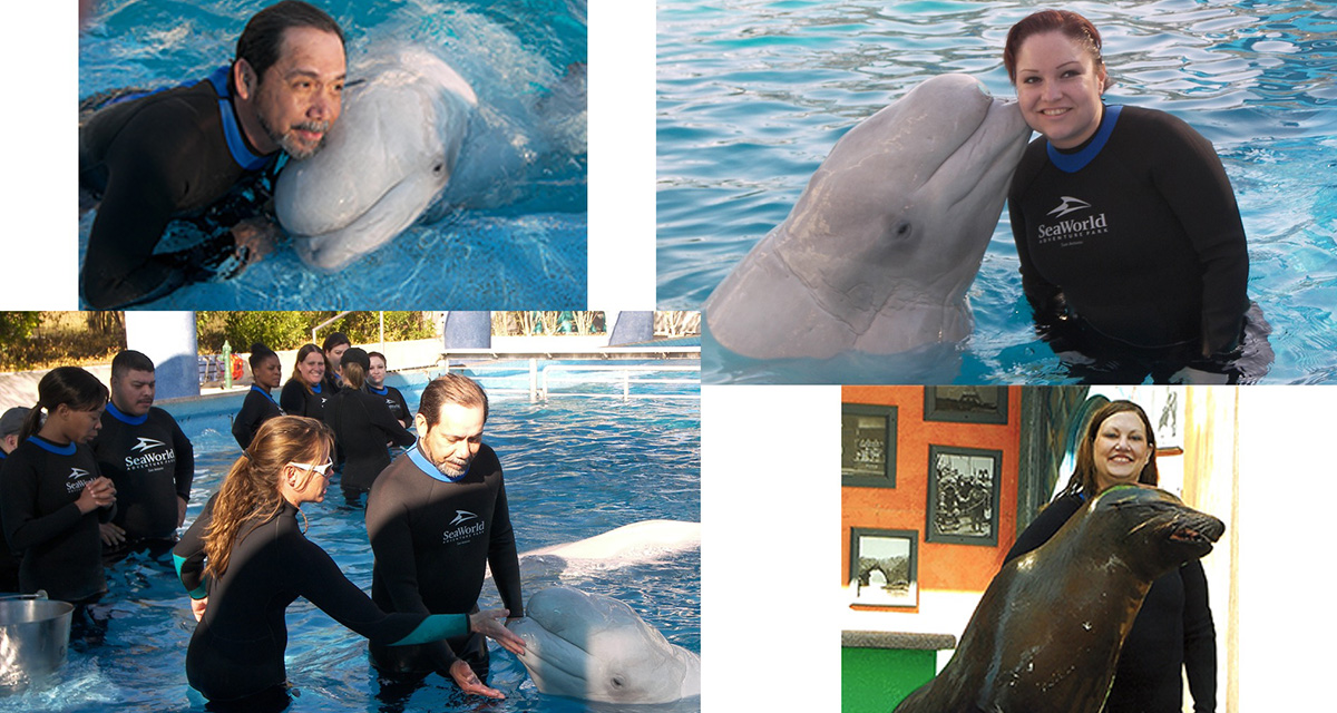 NVC Partnering at SeaWorld