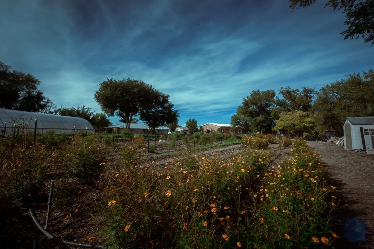 Jardin Institute Community Garden
