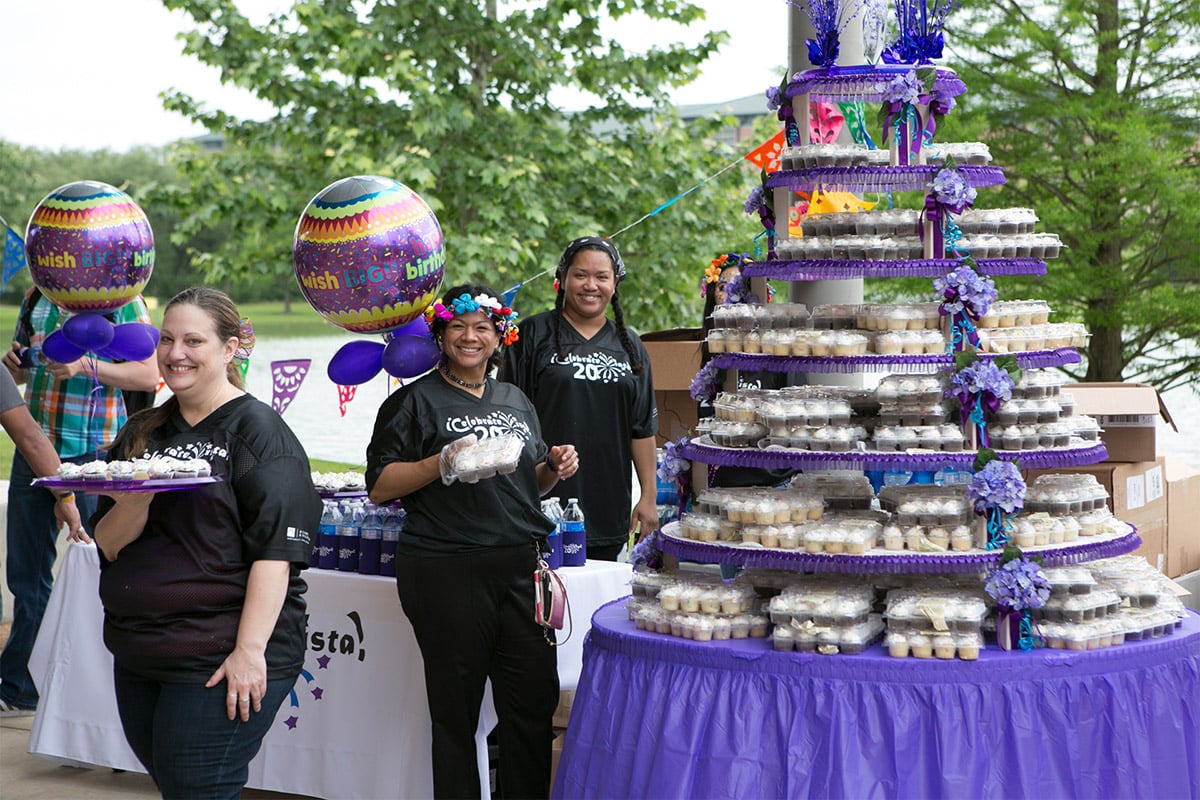 Photo - Viva La Vista 2015