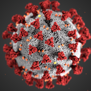 coronavirus-web-2.png