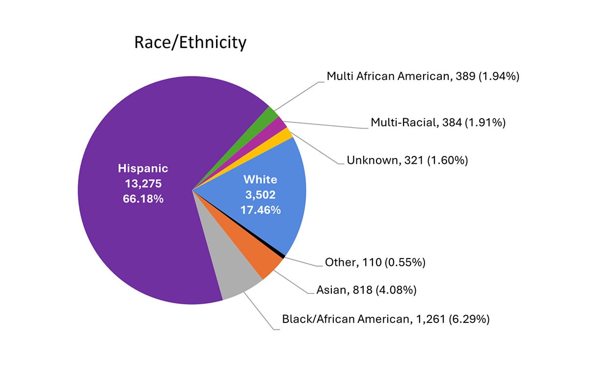 Student Demographics by Race/Ethnicity