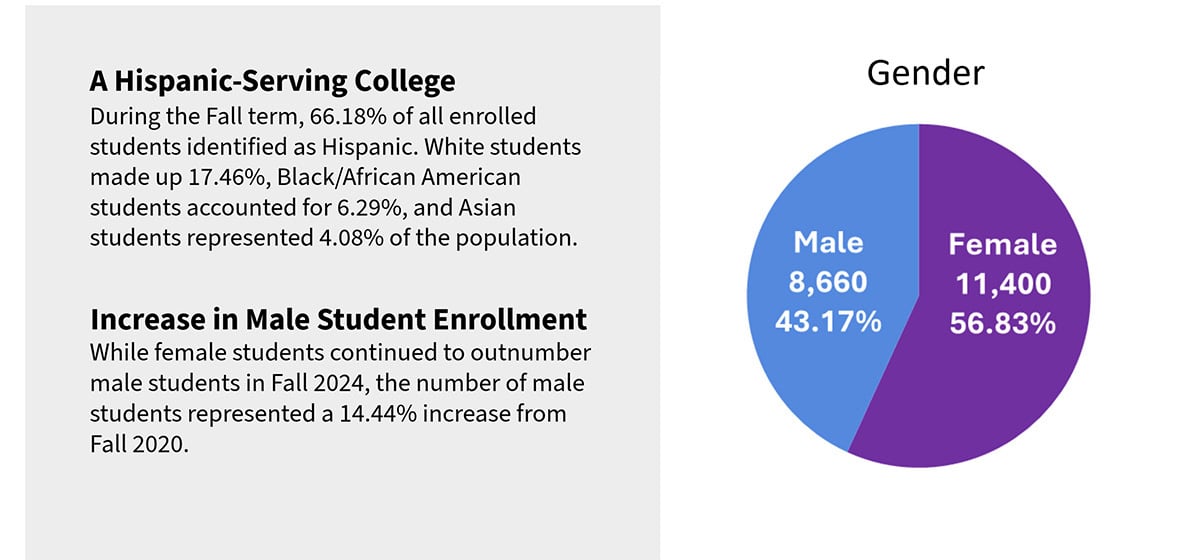 Student Demographics by Gender