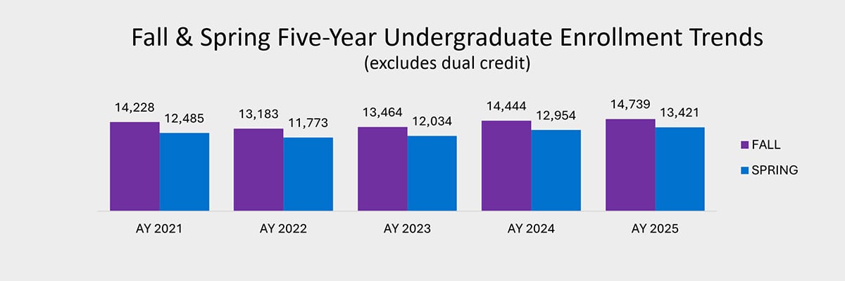 Fall and Spring Five-Year Undergraduate Enrollment Trends (Bar Chart)